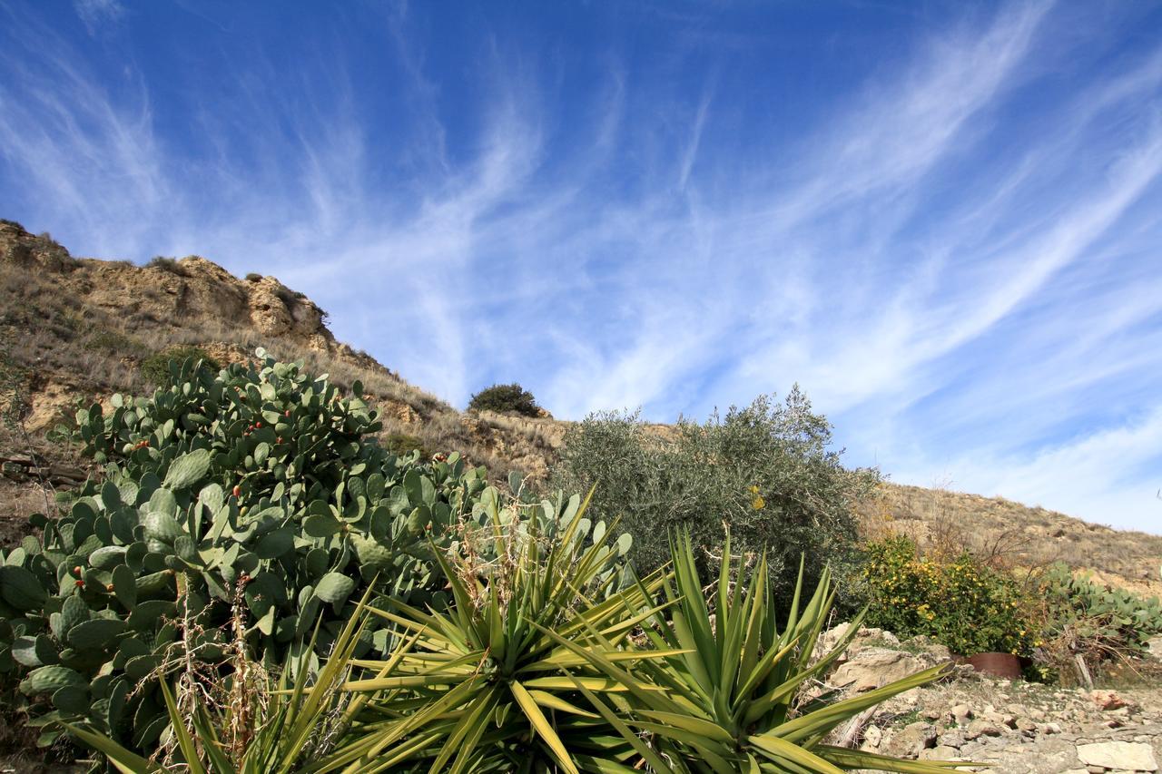 Sea View Apartments Pissouri Exterior foto